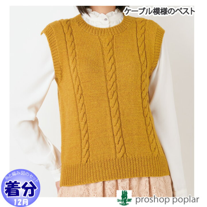 楽天市場】【秋冬】ケーブル模様のベスト【中級者】【編み物キット 