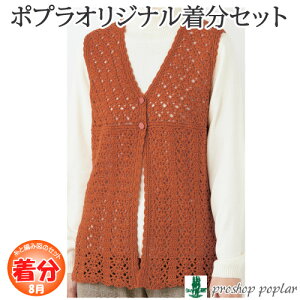 【秋冬】地模様の前開きベスト【着分パック】【編み図付】色番30〜48 毛糸のポプラ