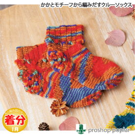 【秋冬】かかとモチーフから編み出すクルーソックス【中級者】【編み物キット】 毛糸のポプラ