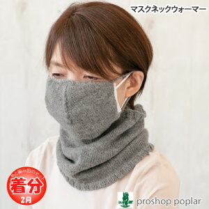 yH~z}XNlbNEH[}[yҁzy҂ݕLbgz ю̃|v