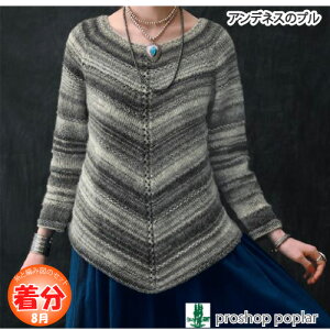 yH~zAflX̃vyҁzy҂ݕLbgz ю̃|v