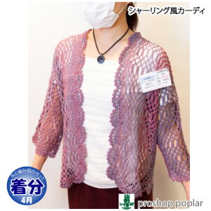 ytāzV[OJ[fByҁzy҂ݕLbgz ю̃|v