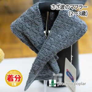 yH~zg͗l̃}t[(2`3)yҁzy҂ݕLbgz ю̃|v