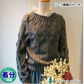 【秋冬】リーフ模様のセーター【中級者】【編み物キット】 毛糸のポプラ