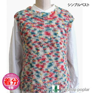 yH~zVvxXgyҁzy҂ݕLbgz ю̃|v