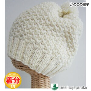 yH~ẑ̖Xqyҁzy҂ݕLbgz ю̃|v