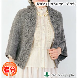 yH~z1dĂ̂J[fBKyҁzy҂ݕLbgz ю̃|v