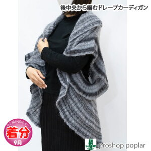 yH~z㒆҂ރh[vJ[fBKyҁzy҂ݕLbgz ю̃|v