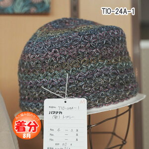 yH~zTIO-24A-1yҁzy҂ݕLbgz