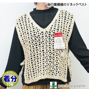 yH~z̗t͗lVlbNxXgyҁzy҂ݕLbgz ю̃|v