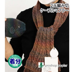 yH~z2ʕ҂ݐ؃P[u}t[yҁzy҂ݕLbgz ю̃|v