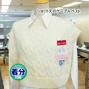 yH~zV[g̃P[uxXgyҁzy҂ݕLbgz