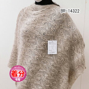 yH~zBR-14322yҁzy҂ݕLbgz