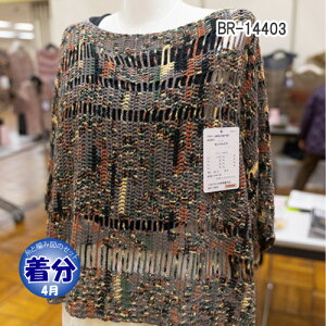 ytāzBR-14403yҁzy҂ݕLbgz