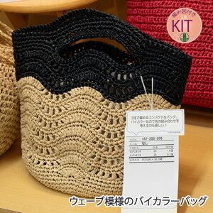 ytāzEF[u͗l̃oCJ[obOyҁzy҂ݕLbgz