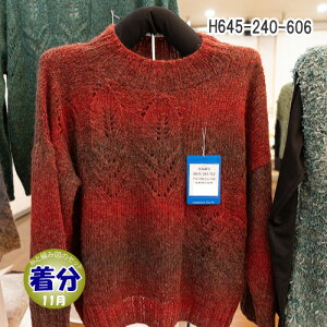 yH~zH645-240-606yҁzy҂ݕLbgz