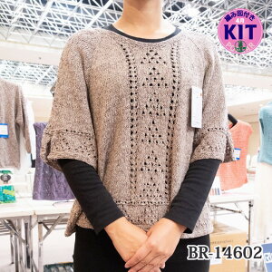 ytāzBR-14602yҁzy҂ݕLbgz