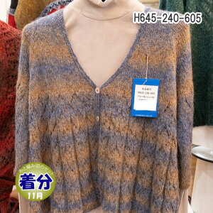 yH~zH645-240-605yҁzy҂ݕLbgz