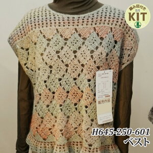 yH~zH645-250-601 xXgyҁzy҂ݕLbgz