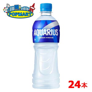 y[J[zyzANGAX 500mlPET 24{ RJER[  X|[chN