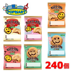 s 1Jg[}A oj 1 × 240Zbg@ q ii Ղ   ̑ zz čՂ Cxg ʉَq َq  