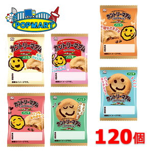 s 1Jg[}A oj 1 × 120Zbg@ q ii Ղ   ̑ zz čՂ Cxg ʉَq َq  