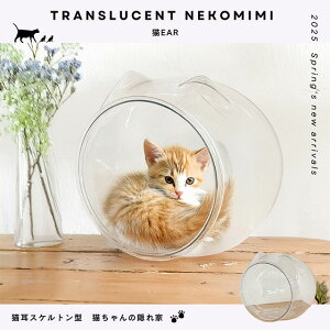 y[J[zLPETfނ̃XPg{[ Lear NbVt@˂ L Lbg 킢 CeA ybgƋ LƋ