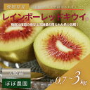 【産地直送】レインボーレッド キウイ M〜4Lサイズ (約0.7kg〜約3.0kg) 【ぽぽ農園】※北海道・沖縄・離島は追加送料…