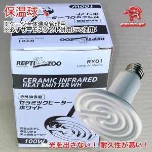 RZ@Z~bNq[^[ 100w @E26@঒ށ@ۉ