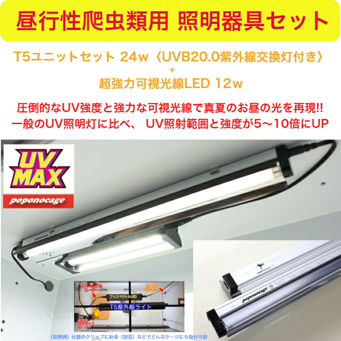 楽天市場 | ポポのケージ - フトアゴヒゲトカゲなど昼行性爬虫類に特化 