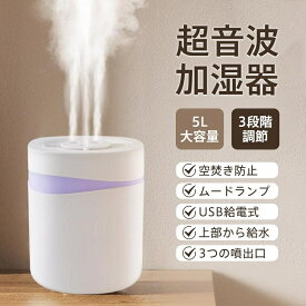 加湿器 卓上加湿器 超音波加湿器 大容量5L 上部給水 自動湿度調整 3段階加湿調節 USB給電 空気清浄 自動停止 空焚き防止 静音省エネ お手入れ簡単 LEDライト 小型 シンプル おしゃれ ホワイト 床置き/オフィス/部屋/美肌/乾燥/ウィルス/風邪対策 花粉症対策