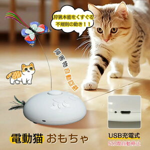 L  ߋ d L炵  L ˂ lV d LV lC cat Lߋ toy  X lR ybg ߋ qL  L̊ߋ H dL ] Q
