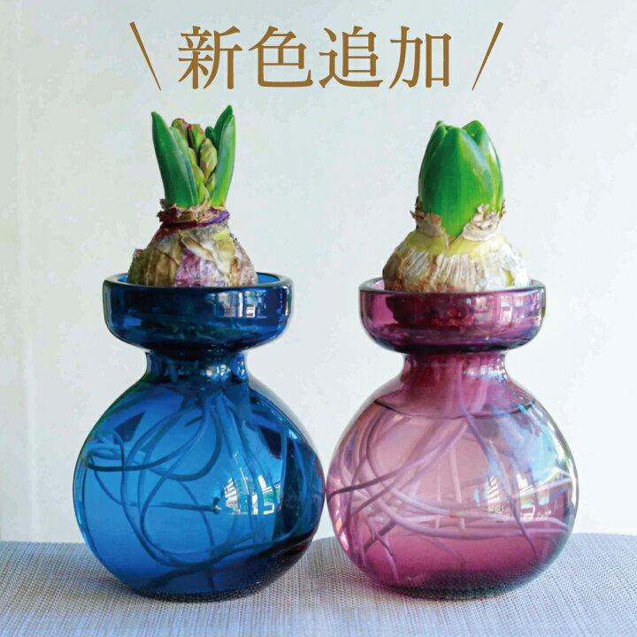 楽天市場 Natural Vase クラシック 花瓶 小さい 一輪挿し おしゃれ ガラス オシャレ 北欧 ミニ花瓶 水栽培 透明 水耕 水耕栽培 球根 栽培 観葉植物 インテリア 雑貨 多肉植物 ギフト ブルー グリーン 花器 フラワーベース 小さめ オシャレ プレゼント ママ