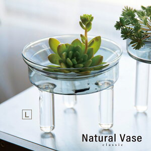 観葉植物 水栽培 花瓶の人気商品 通販 価格比較 価格 Com