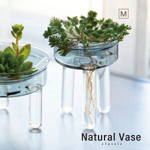 観葉植物 水栽培 花瓶の人気商品 通販 価格比較 価格 Com