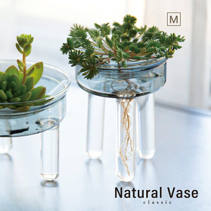 楽天市場 Natural Vase クラシック 花瓶 おしゃれ 北欧 一輪挿し 小さい 足つき 足付き 水耕 水耕栽培 球根 水栽培 観葉植物 ガラス 小さめ インテリア 雑貨 水耕栽培 多肉植物 花器 フラワーベース 北欧 オシャレ おしゃれ 母の日 贈り物 誕生日 おうち時間 楽天市場 Natural Vase クラシック 花瓶 おしゃれ 北欧 一輪挿し 小さい 足つき 足付き 水耕 水耕栽培 球根 水栽培 観葉植物 ガラス 小さめ インテリア 雑貨 水耕栽培 多肉植物 花器 フラワーベース 北欧 オシャレ おしゃれ 母の日 贈り物 誕生日 おうち時間