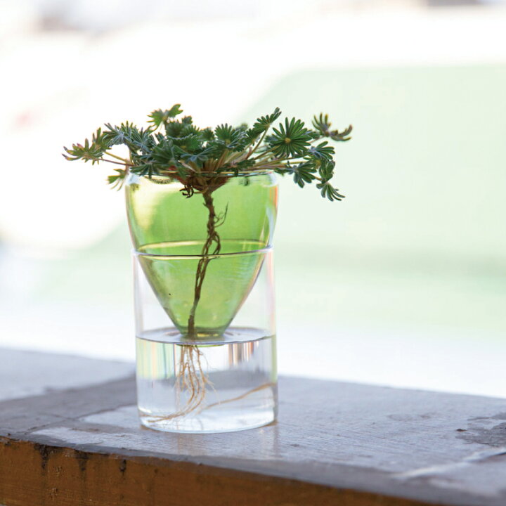 楽天市場 Natural Vase クラシック シンプル ガラス 花瓶 一輪挿し ミニ花瓶 透明 ピンク ブルー グリーン 小さい コンパクト 水耕 水耕栽培 球根 水栽培 観葉植物 多肉植物 小さな ガラス 小さめ インテリア 雑貨 フラワーベース オシャレ 母の日 誕生日 贈り物