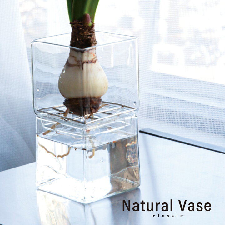 楽天市場 Natural Base クラシック 花瓶 一輪挿し 水耕栽培 球根 水栽培用花瓶 ガラス 小さい 水耕 透明 コンパクト 雑貨 ミニサイズ インテリア フラワー サボテン 観葉植物 かわいい おしゃれ 花器 フラワーポット おしゃれ シンプル 誕生日 記念 母の日 母 誕生日 楽天市場 Natural Base クラシック 花瓶 一輪挿し 水耕栽培 球根 水栽培用花瓶 ガラス 小さい 水耕 透明 コンパクト 雑貨 ミニサイズ インテリア フラワー サボテン 観葉植物 かわいい おしゃれ 花器 フラワーポット おしゃれ シンプル 誕生日 記念 母の日 母 誕生日