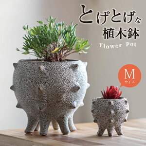 _j[NȃJ^`ŘbI^Aؔ |bg A T{e t[|bg K[fjO  CeA k 蕨 ObY 킢 a v[g ̓ a ͗l