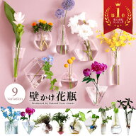 雑誌リンネル掲載＼楽天市場で第1位受賞／【化粧箱付き☆倒れない花瓶】壁掛け 壁かけ 花瓶 一輪挿し 防…