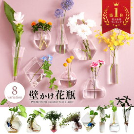 ＼楽天市場ランキング第1位受賞／【雑誌リンネル掲載☆倒れない花瓶】壁掛け 壁かけ 花瓶 一輪挿し 防災 地震 小さい ガラス 壁 壁飾り おしゃれ 花びん 夏 涼しげ 癒し インテリア 花 壁かけ 花器 フラワーベース 水耕栽培 コンパクト 贈り物 癒しグッズ 誕生日 プレゼント