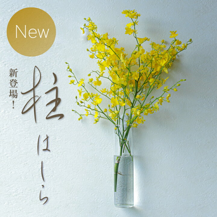 楽天市場 リンネル掲載 倒れない花瓶 壁掛け 壁かけ 花瓶 一輪挿し 小さい ガラス 壁 壁飾り おしゃれ 花びん 夏 涼しげ 癒し インテリア 花 壁かけ 花器 フラワーベース 水耕栽培 コンパクト 贈り物 癒しグッズ かわいい 可愛い 母 おうち時間 誕生日 プレゼント 母