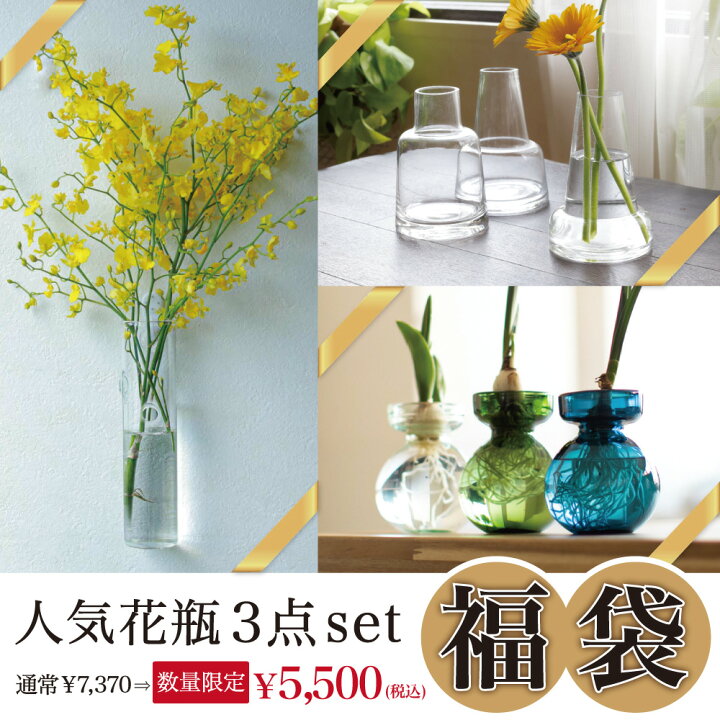 楽天市場 23 福袋 花瓶 3点セット 人気花瓶あつめました 壁掛け花瓶 倒れない 北欧 球根栽培 水耕栽培 ガラス 癒し いやし シンプル フラワーベース 新生活 花 花のある生活 誕生日 結婚記念日 新築祝い クリスマス 母の日 父の日 一輪挿し Diy Diy 模様替え