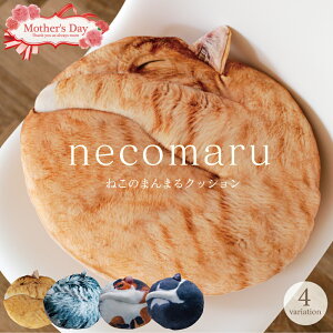 lCGfځynecomaru`˂̂܂܂NbV`z˂ NbV L^ ˂G  ˂ L   CeA ObY a 낢 G ˂G CeA  ̓