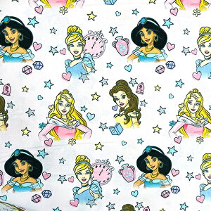 n z 100 i fBYj[vZX sN  j y50cmȏ10cmPʁz16918 LN^[n  w  w Rbg  | nhCh sN ̎q I[ 