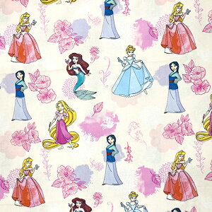 n z 100 i fBYj[vZX sN ԁj y50cmȏ10cmPʁz17788 LN^[n  w  w Rbg  | nhCh sN ̎q I[ V