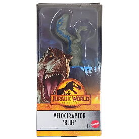 ジュラシックワールド フィギュア 6インチ ( VELOCIRAPTOR BLUE ) 18354a Jurassic World おもちゃ 人形 恐竜 きょうりゅう ヴェロキラプトル ブルー 映画 ジュラシックパーク ジュラシック キャラクター グッズ 輸入品 インポート 海外 マテル HMK81