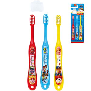 pEpg[ ǂp uV 3{ Zbg ( 23 ) 18810 p nuV ͂Ԃ炵  3 4 5 Lbvt 炩 RpNgwbh  ۈ牀 ct c XP[^[ Aj 