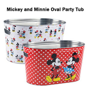 ~bL[  ~j[ I[o^ p[eB[^u i zCg bh jyts1264 robW Xg[W  Tin Bucket Pails [ CeA 킢 Disney fBYj[ p[eB[ ObY 