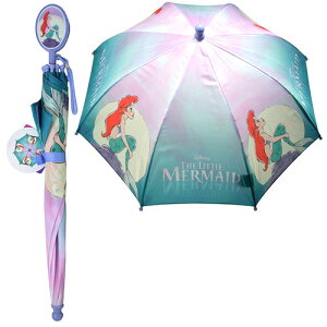 g}[Ch LbY P 40cm 19735 P  LbYAu AG ObY q qp c 3 4 LbYt@bV t@bVG ̎q fBYj[ LN^[ Ai 